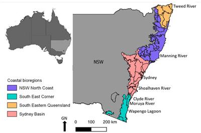 Random Forest Classification Method for Predicting Intertidal Wetland Migration Under Sea Level Rise